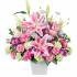大阪府大東市ガーデニングプラザ花らんどの花　アレンジメント